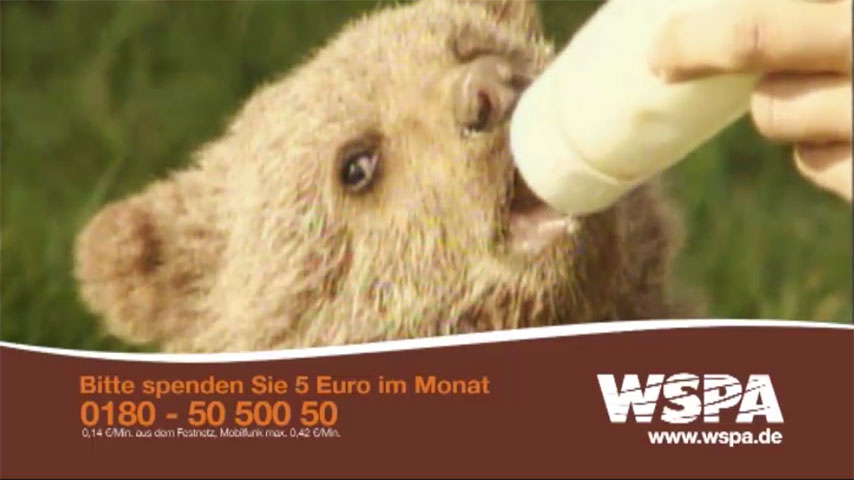 WSPA Bären